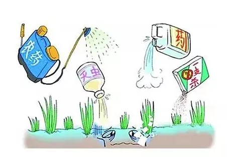 農(nóng)藥的危害