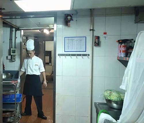 工業(yè)級可燃?xì)怏w探測器