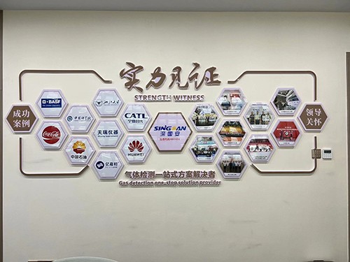 深國安實(shí)力見證